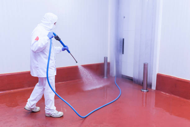 Best Pre-Holiday Cleaning  in Simpsonville, SC